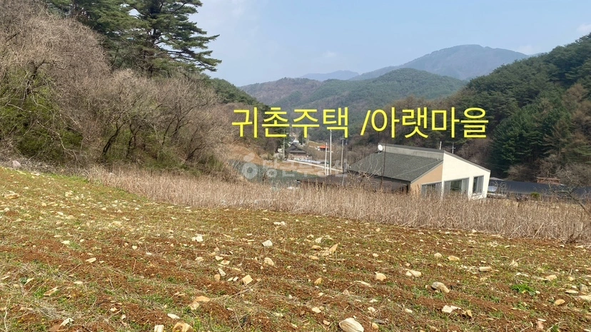 강원특별자치도 정선군 신동읍 토지 사진 1