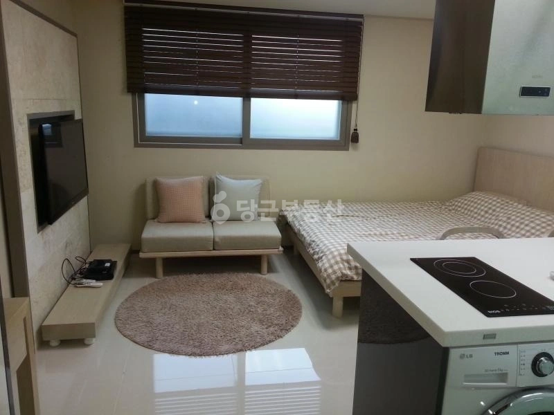 서울특별시 강남구 역삼동 원룸 사진 1