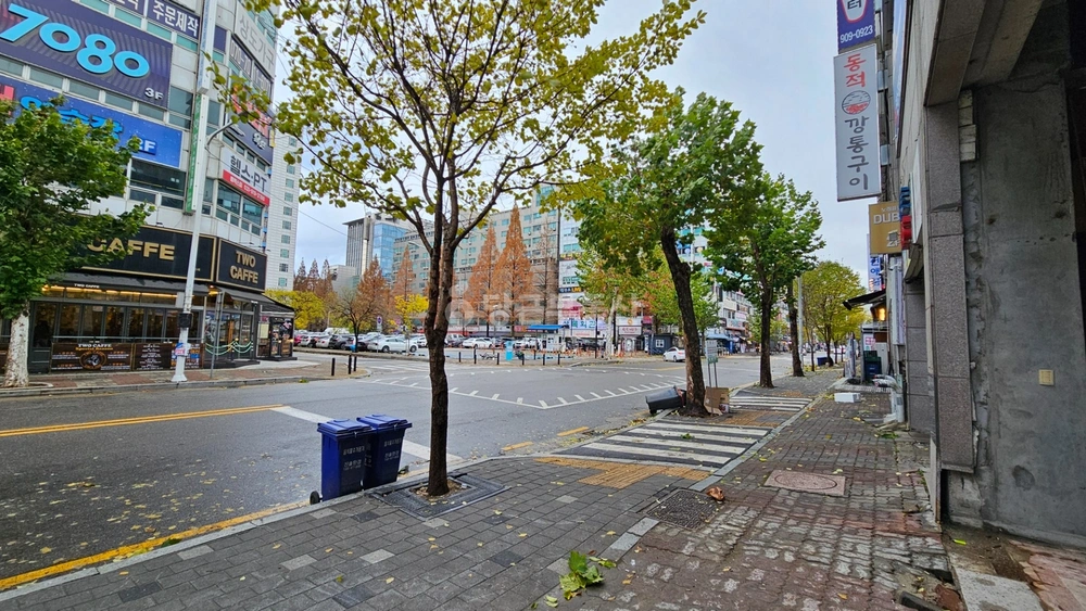 경기도 고양시 일산동구 장항동 상가 사진 1