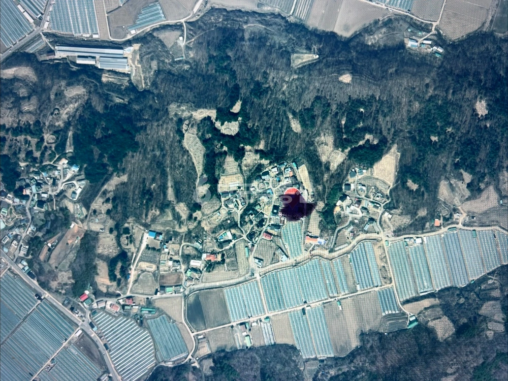 경상북도 성주군 월항면 토지 사진 1