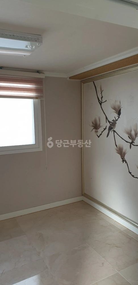 경상북도 포항시 남구 상도동 빌라(투룸 이상) 사진 1