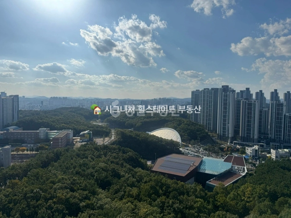 경상북도 포항시 북구 장성동 아파트 사진 1