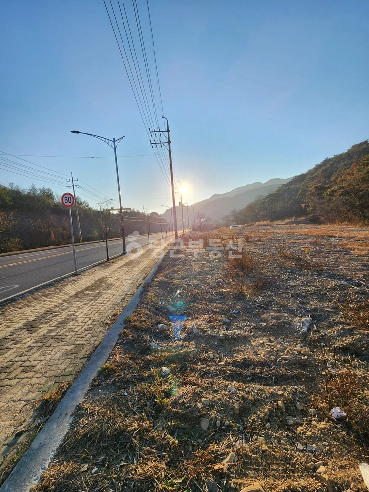 경상남도 밀양시 삼랑진읍 토지 사진 1
