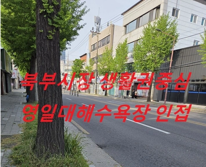 경상북도 포항시 북구 대신동 단독/전원주택 사진 1