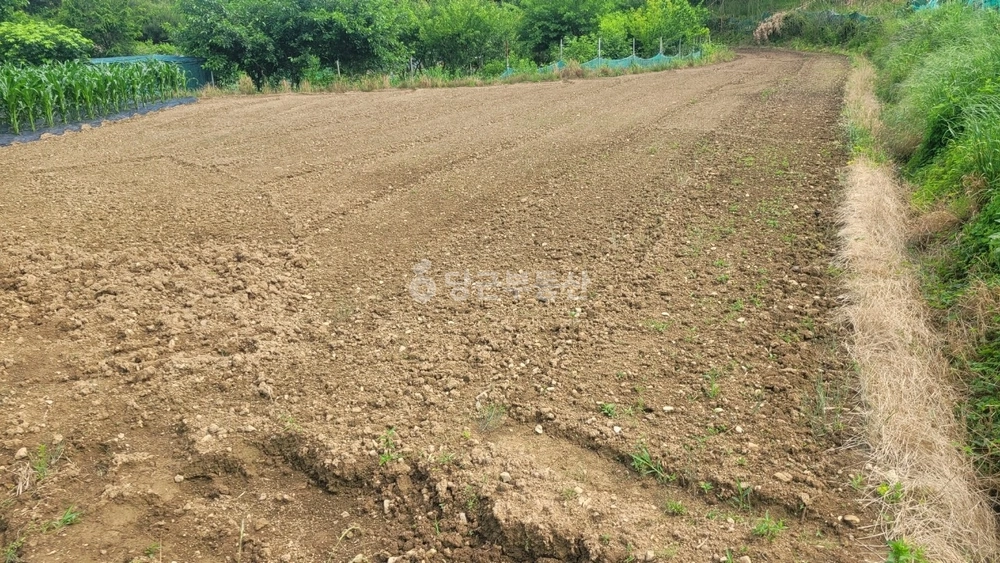 부산광역시 기장군 철마면 토지 사진 1