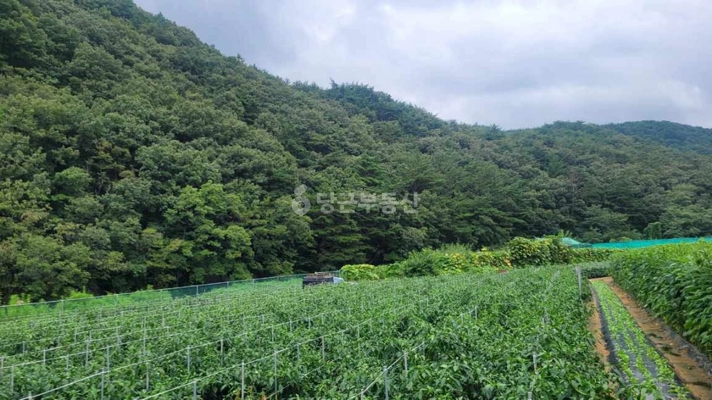 부산광역시 기장군 철마면 토지 사진 1