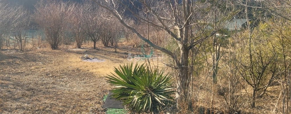 부산광역시 기장군 철마면 토지 사진 1