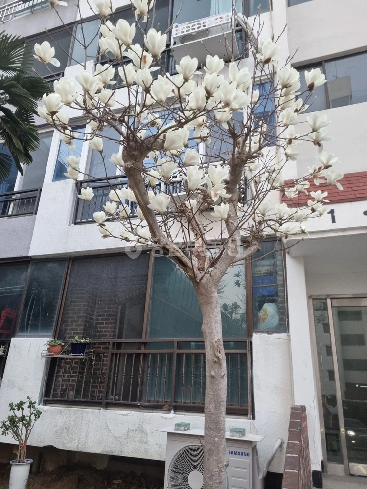 경상남도 창원시 마산합포구 월영동 아파트 사진 1