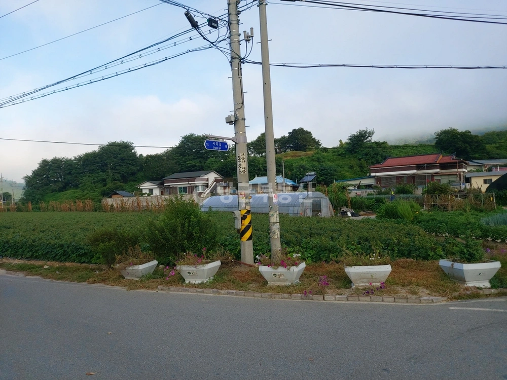 충청북도 제천시 송학면 토지 사진 1