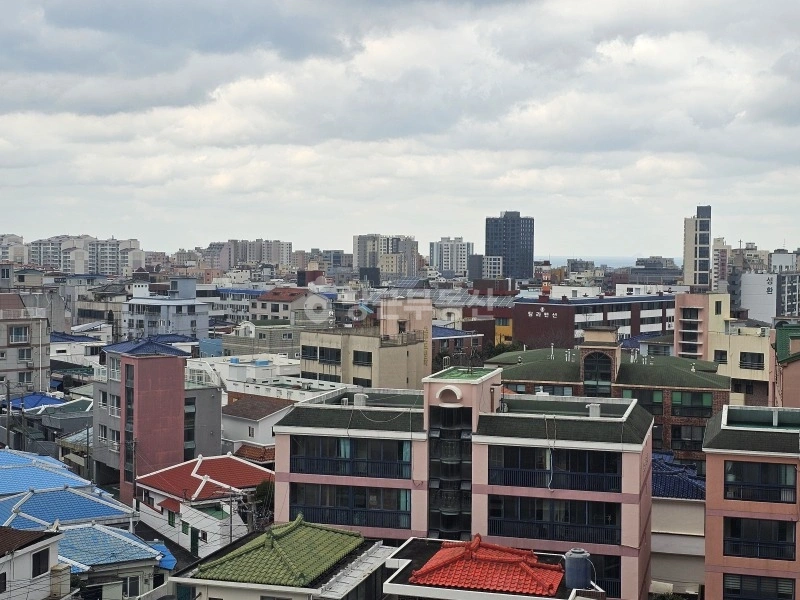 제주특별자치도 제주시 도남동 오피스텔 사진 1