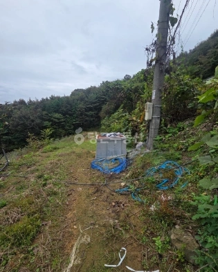 전북특별자치도 임실군 신덕면 토지 사진 1