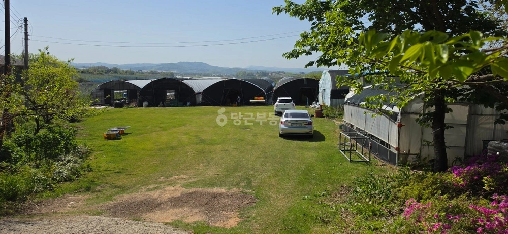 전남광주통합특별시 장성군 삼서면 토지 사진 1