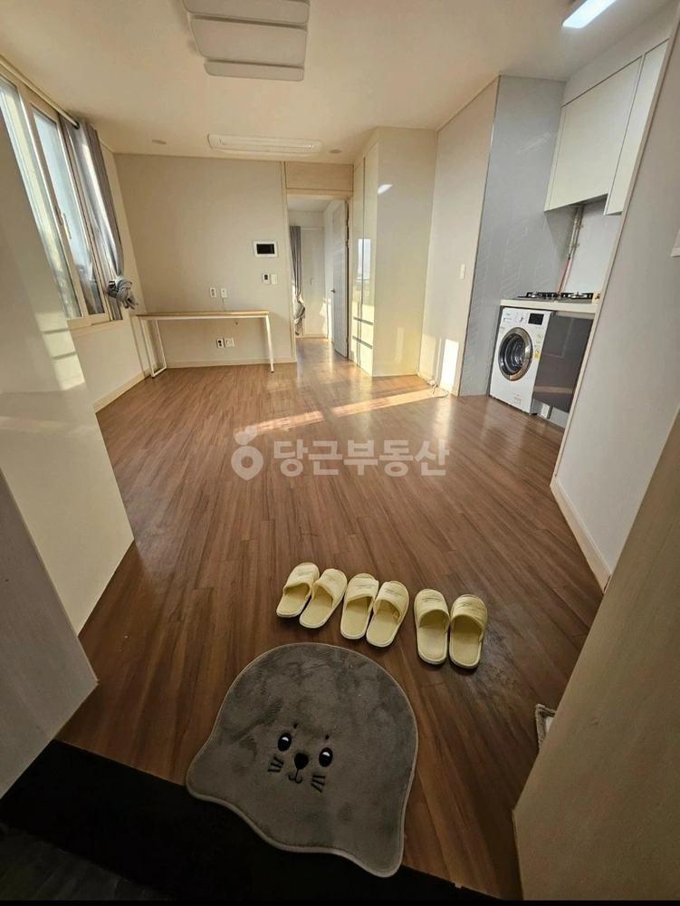 제주특별자치도 제주시 용담1동 빌라(투룸 이상) 사진 1