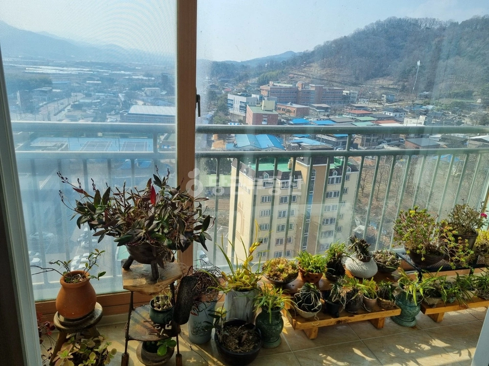 경상북도 상주시 신봉동 아파트 사진 1