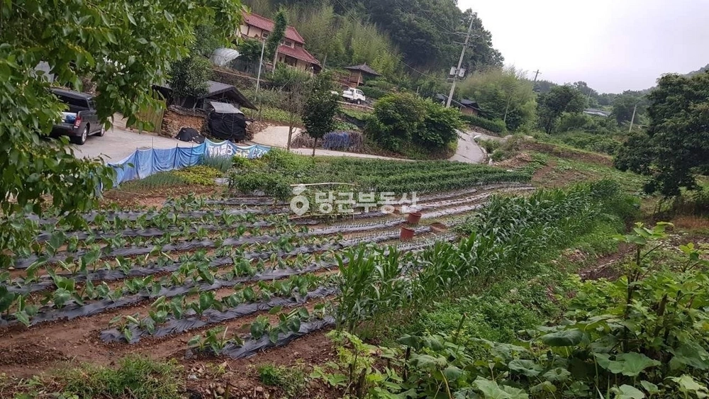 전북특별자치도 임실군 관촌면 토지 사진 1