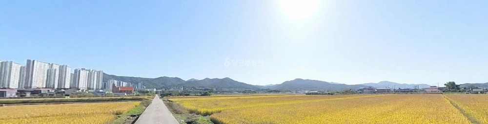 전북특별자치도 전주시 완산구 평화동3가 토지 사진 1