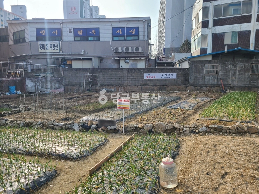 전북특별자치도 전주시 완산구 효자동1가 토지 사진 1