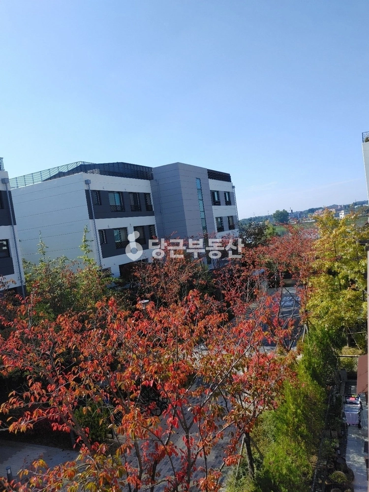 전북특별자치도 전주시 덕진구 만성동 아파트 사진 1