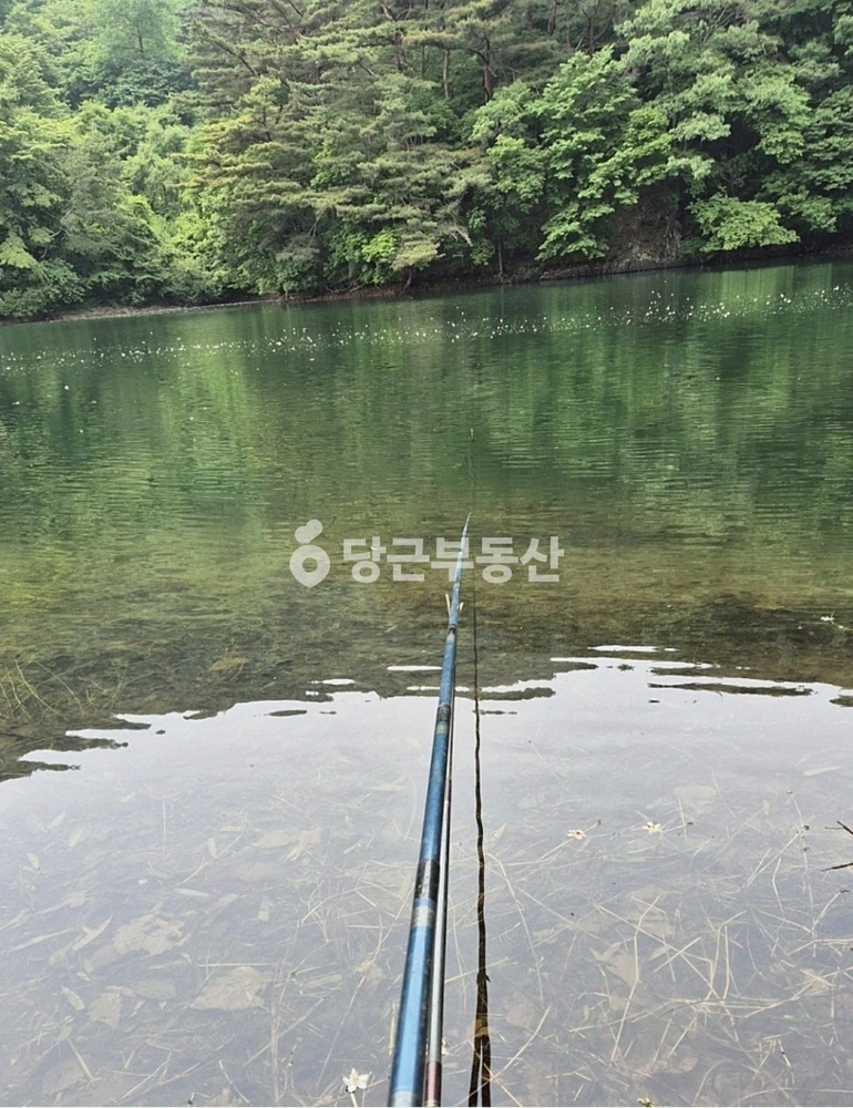 전북특별자치도 순창군 쌍치면 토지 사진 1