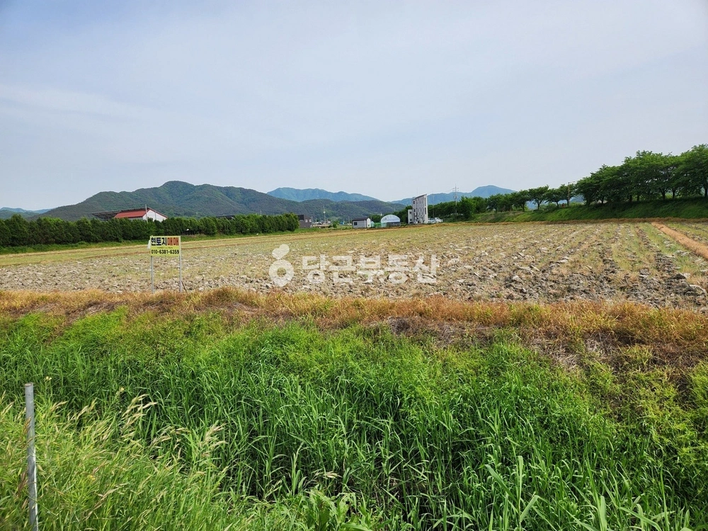 전북특별자치도 전주시 완산구 평화동3가 토지 사진 1