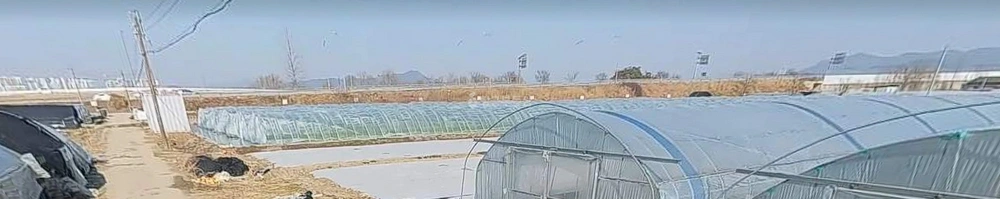 전북특별자치도 전주시 덕진구 전미동1가 토지 사진 1