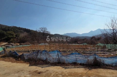 전북특별자치도 완주군 구이면 토지 사진 1