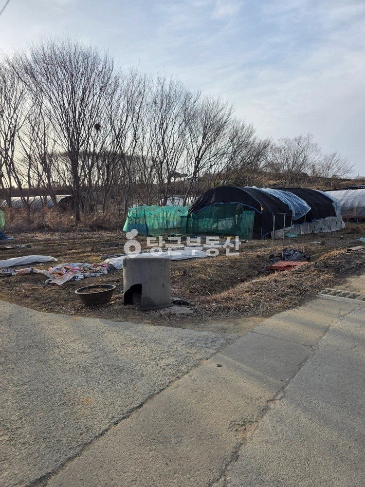 전북특별자치도 임실군 관촌면 토지 사진 1