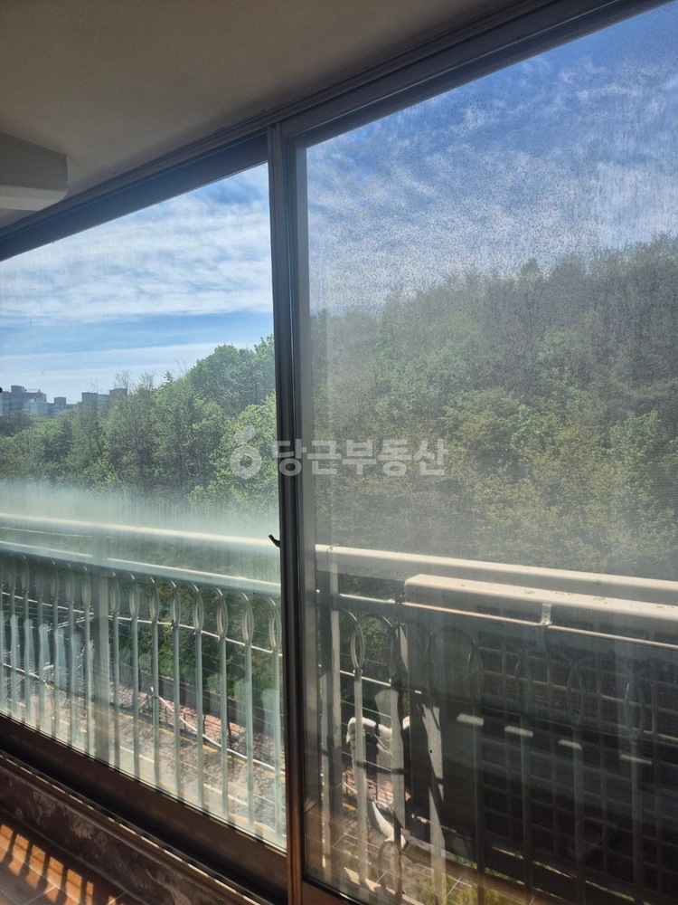 강원특별자치도 속초시 조양동 아파트 사진 1