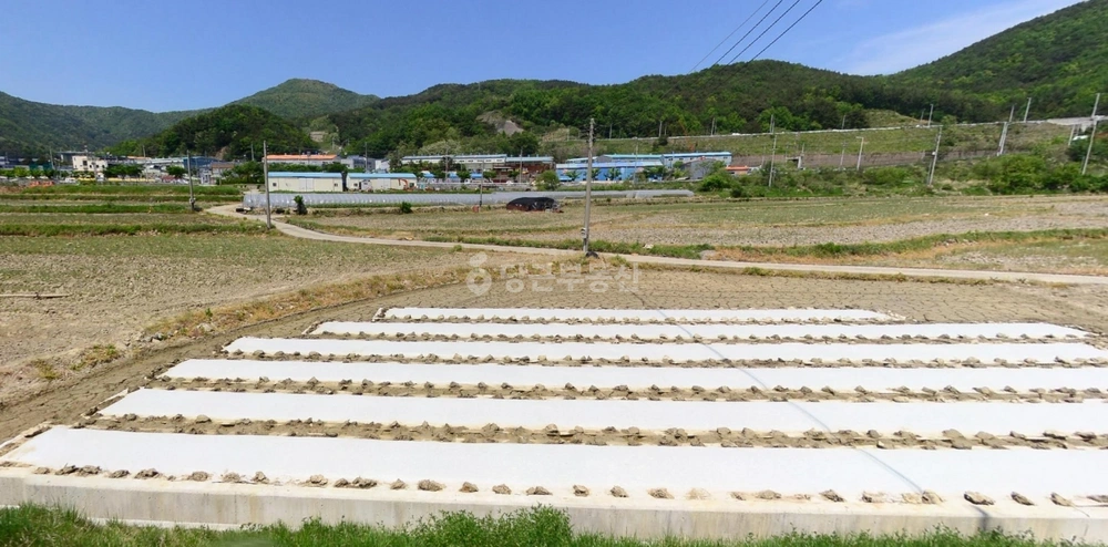 부산광역시 기장군 정관읍 토지 사진 1
