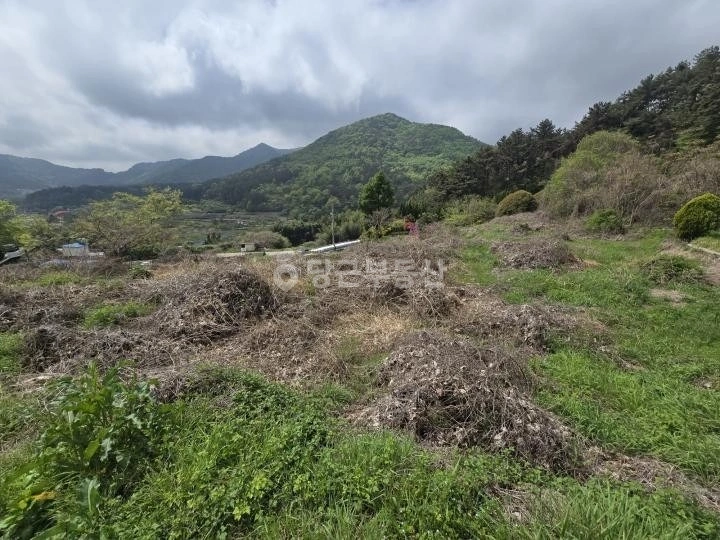 경상남도 창원시 마산합포구 구산면 토지 사진 1