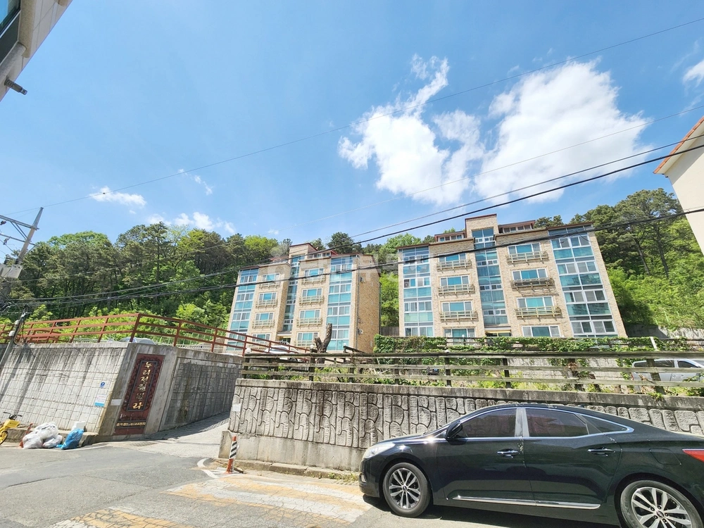 대전광역시 동구 용운동 빌라(투룸 이상) 사진 1