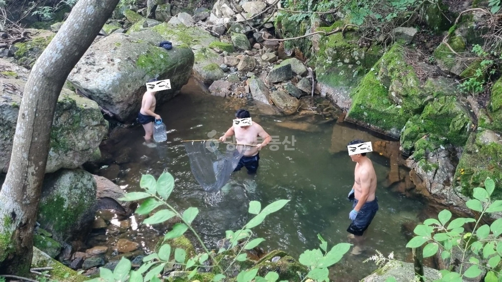 경상남도 밀양시 단장면 토지 사진 1