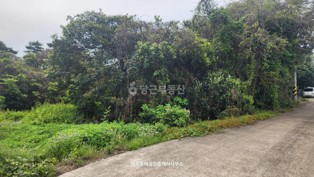 제주특별자치도 서귀포시 성산읍 토지 사진 1