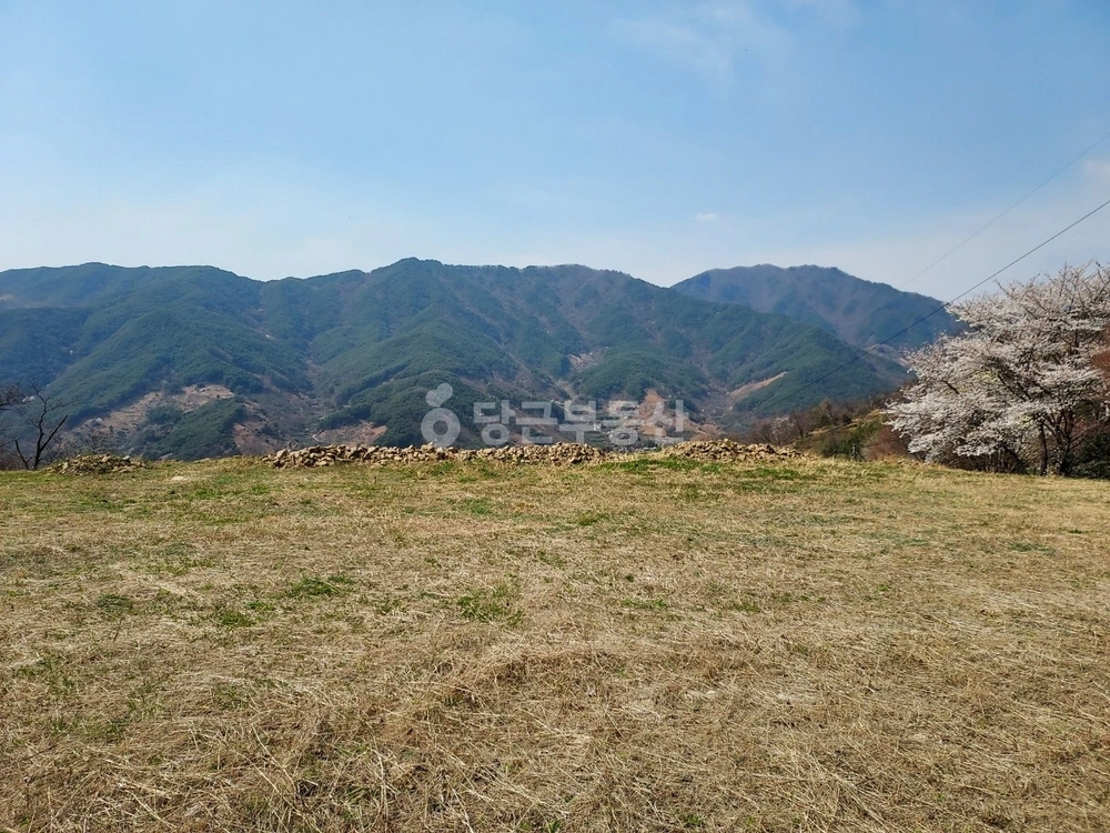 경상남도 하동군 화개면 토지 사진 1