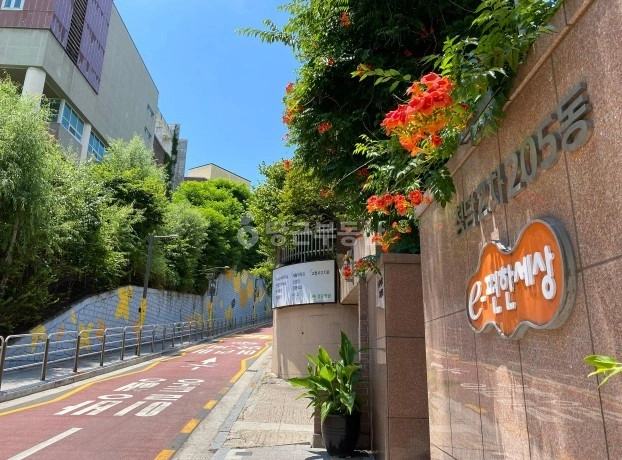 서울특별시 강남구 청담동 아파트 사진 1