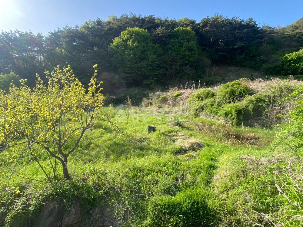 전남광주통합특별시 곡성군 석곡면 토지 사진 1