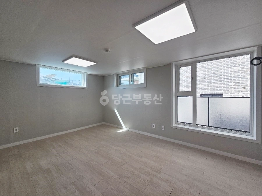 대전광역시 서구 괴정동 원룸 사진 1