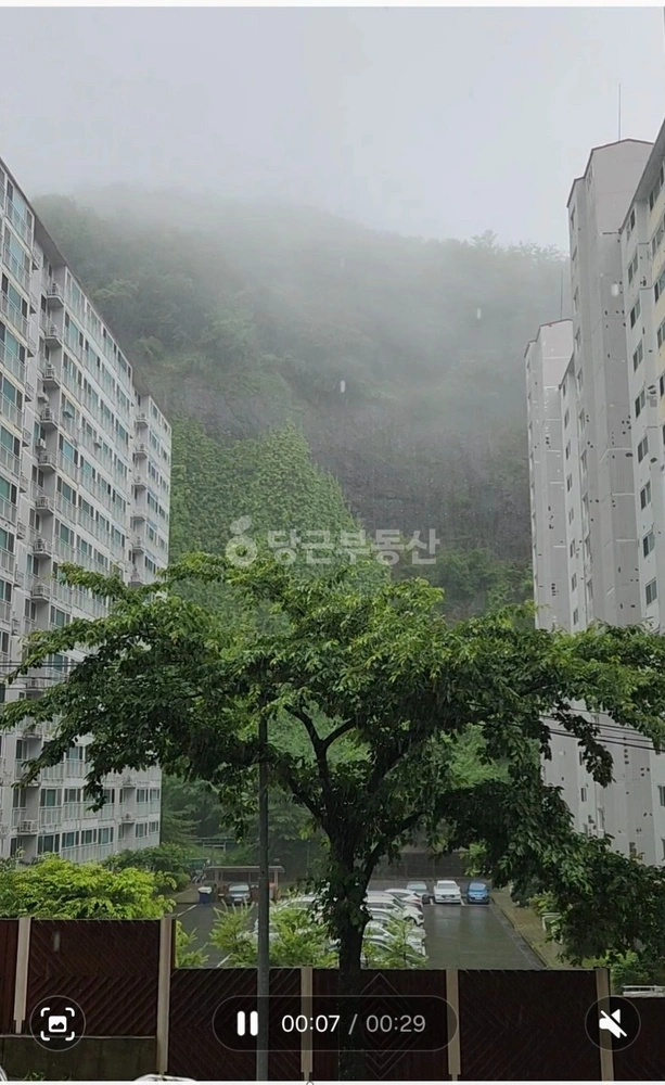 부산광역시 사하구 당리동 상가 사진 1