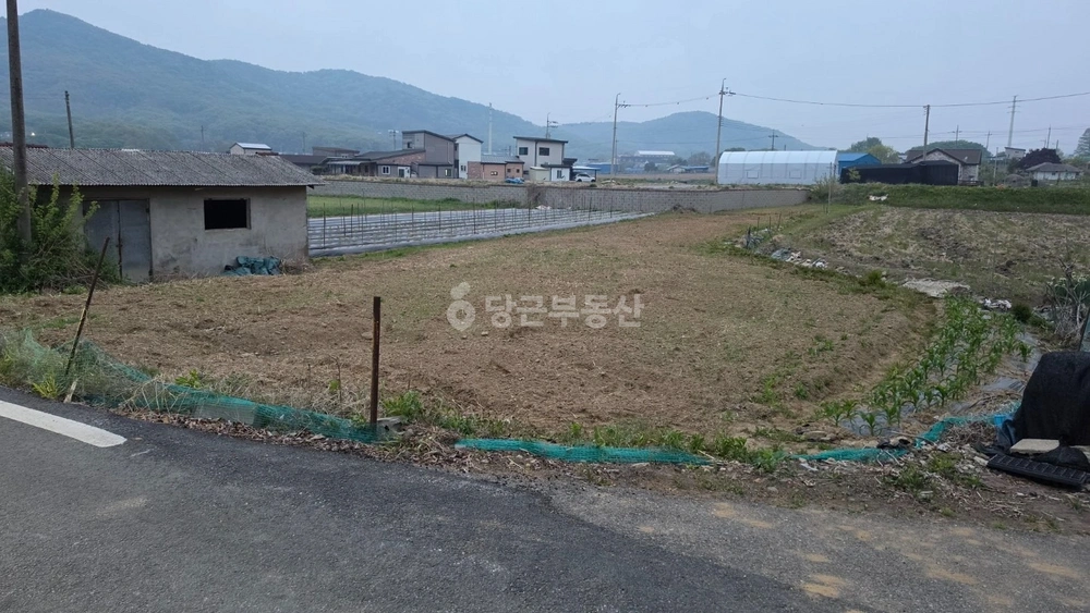 인천광역시 강화군 불은면 토지 사진 1