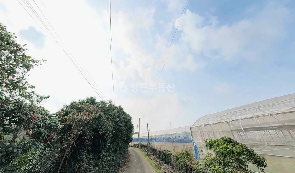 제주특별자치도 제주시 봉개동 토지 사진 1