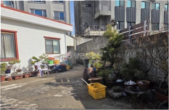 제주특별자치도 제주시 아라일동 단독/전원주택 사진 1