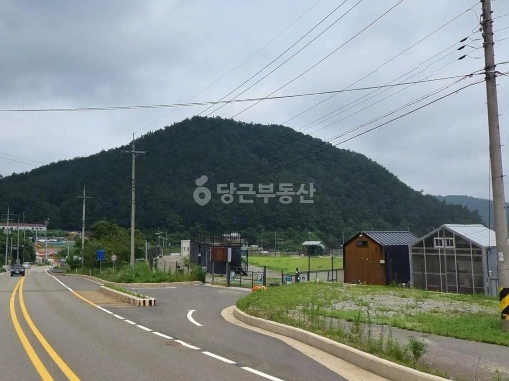 강원특별자치도 양양군 서면 토지 사진 1