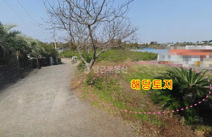제주특별자치도 서귀포시 안덕면 토지 사진 1