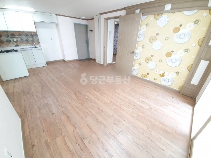 대전광역시 서구 괴정동 빌라(투룸 이상) 사진 1