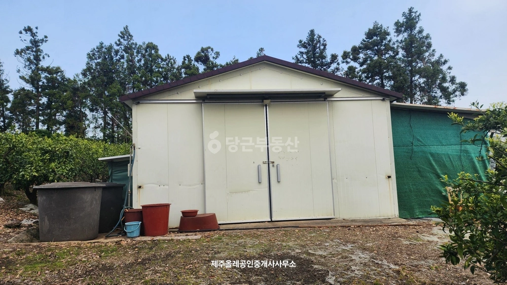 제주특별자치도 서귀포시 성산읍 토지 사진 1