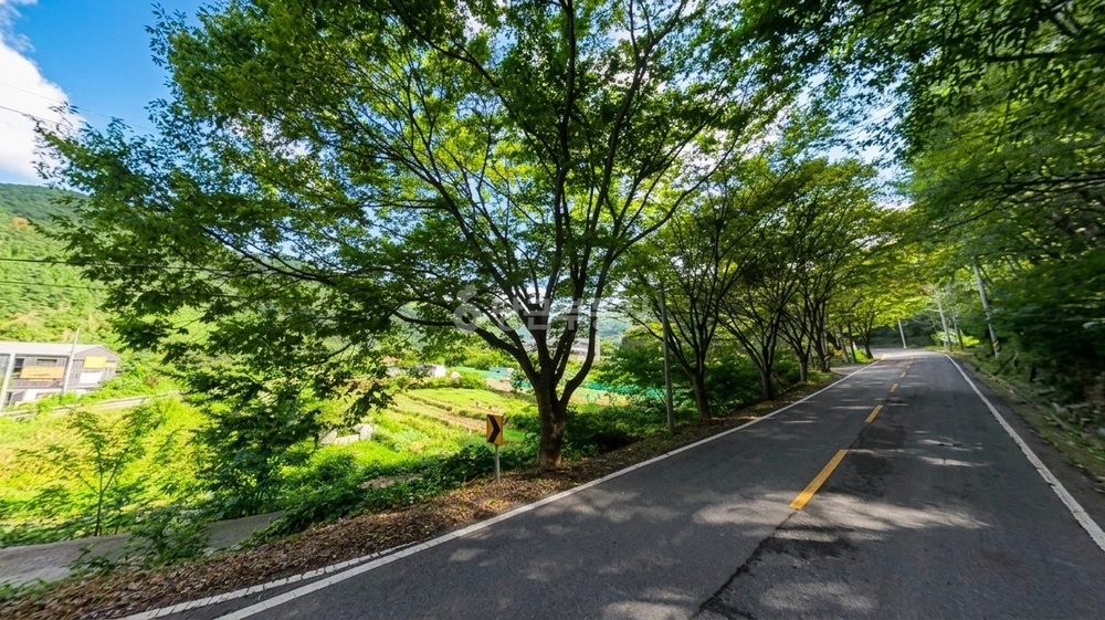 대구광역시 달성군 유가읍 토지 사진 1