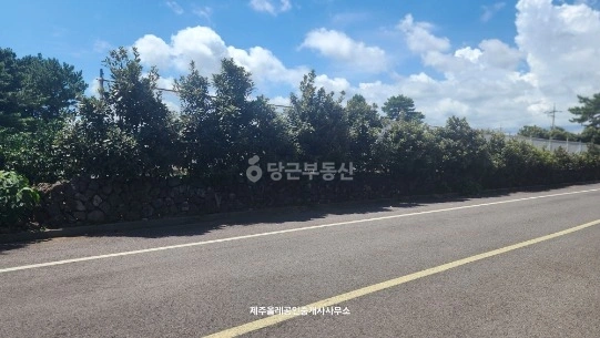 제주특별자치도 서귀포시 남원읍 토지 사진 1