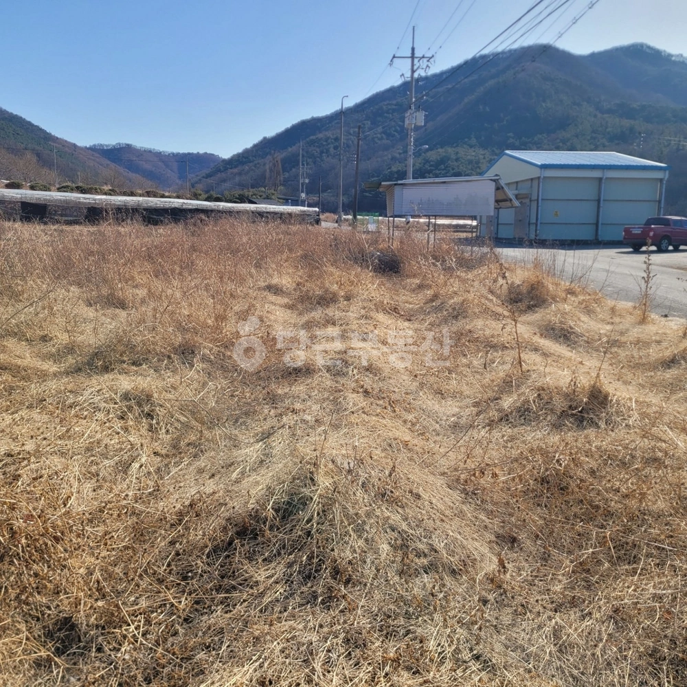 경상북도 영천시 북안면 토지 사진 1