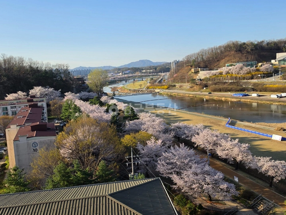 경상북도 영주시 영주동 아파트 사진 1