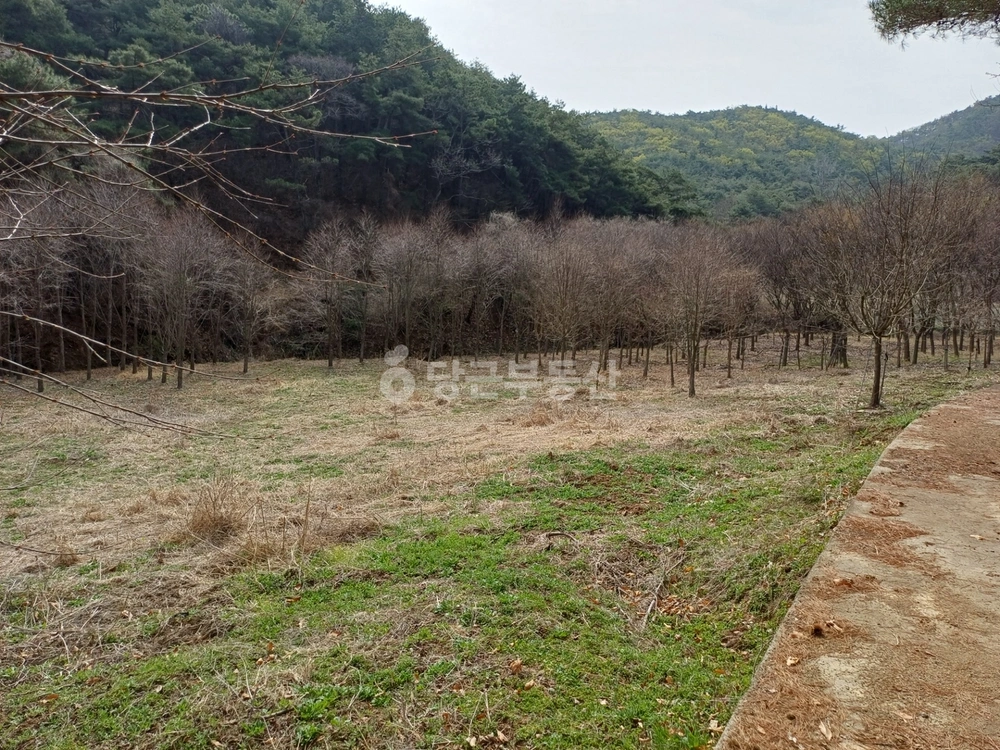 경상북도 영천시 북안면 토지 사진 1